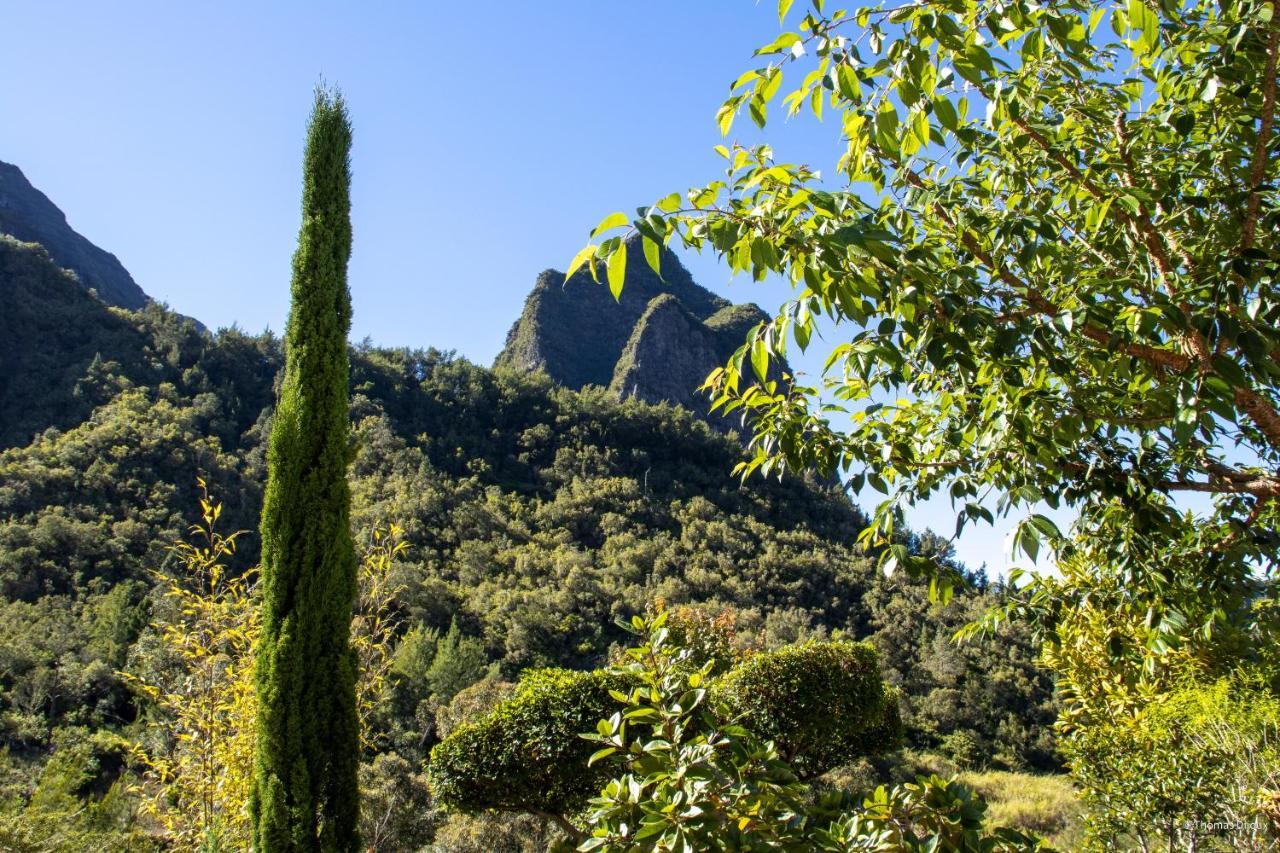Les Begonias Villa Cilaos Bagian luar foto