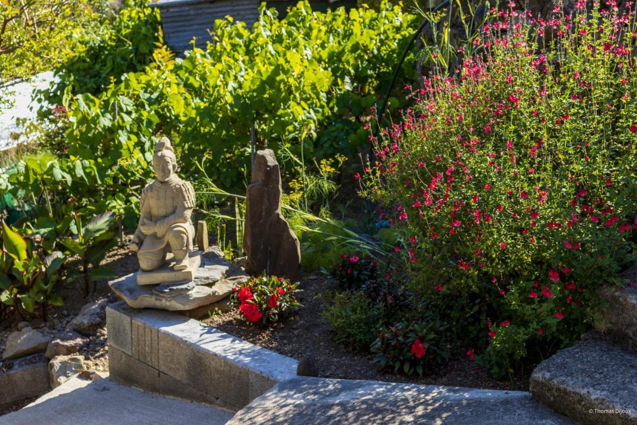 Les Begonias Villa Cilaos Bagian luar foto