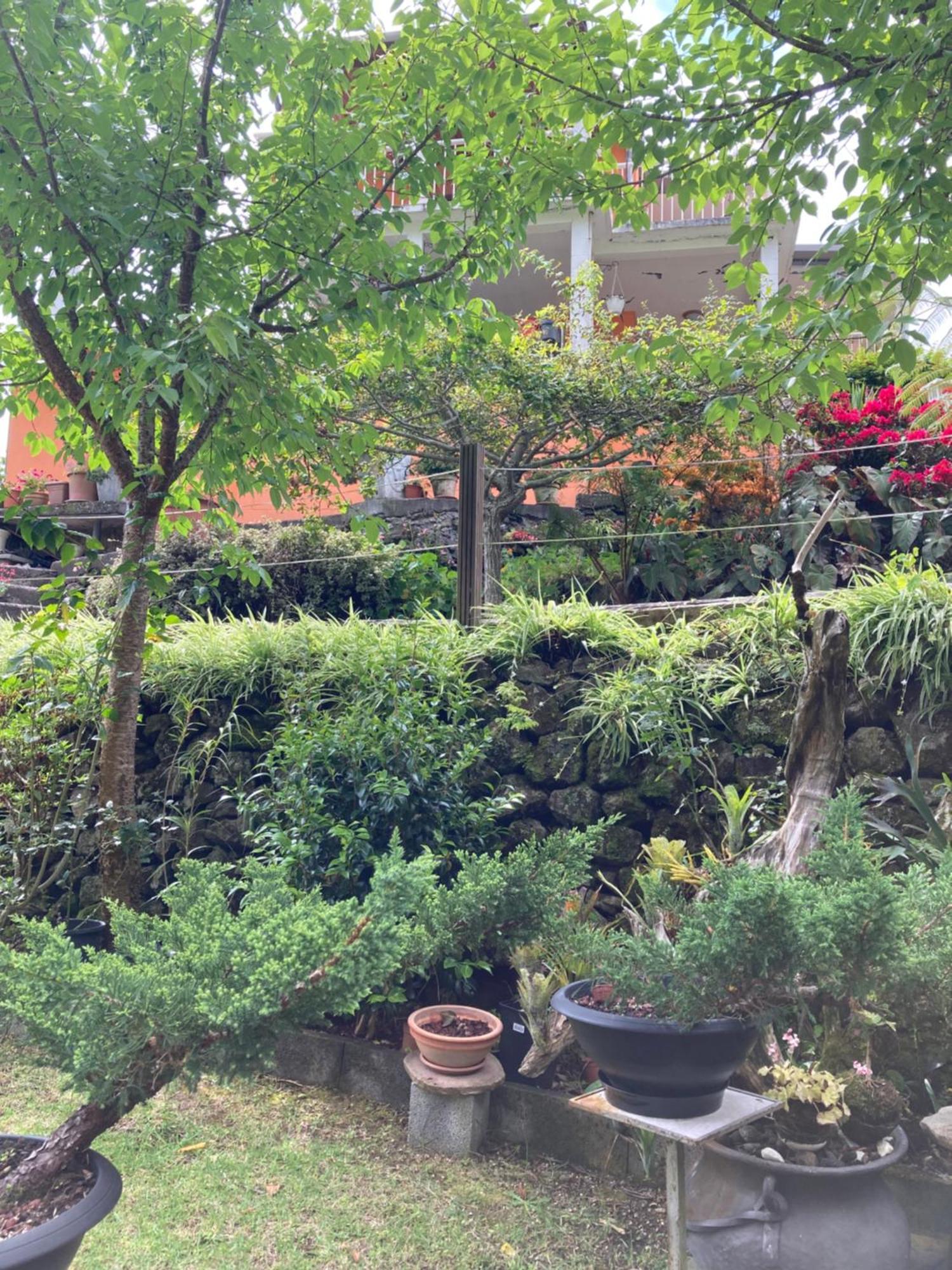 Les Begonias Villa Cilaos Bagian luar foto