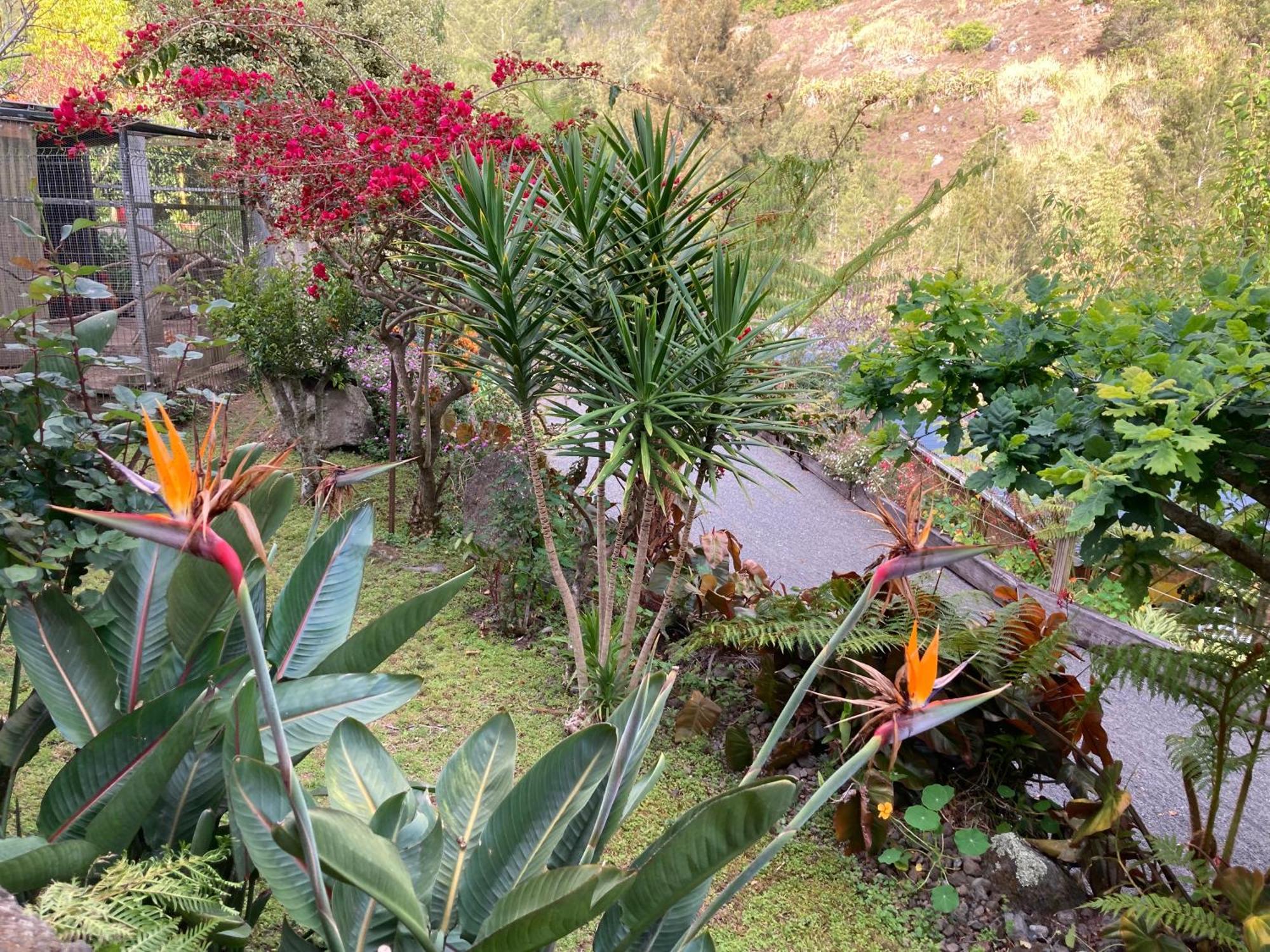 Les Begonias Villa Cilaos Bagian luar foto