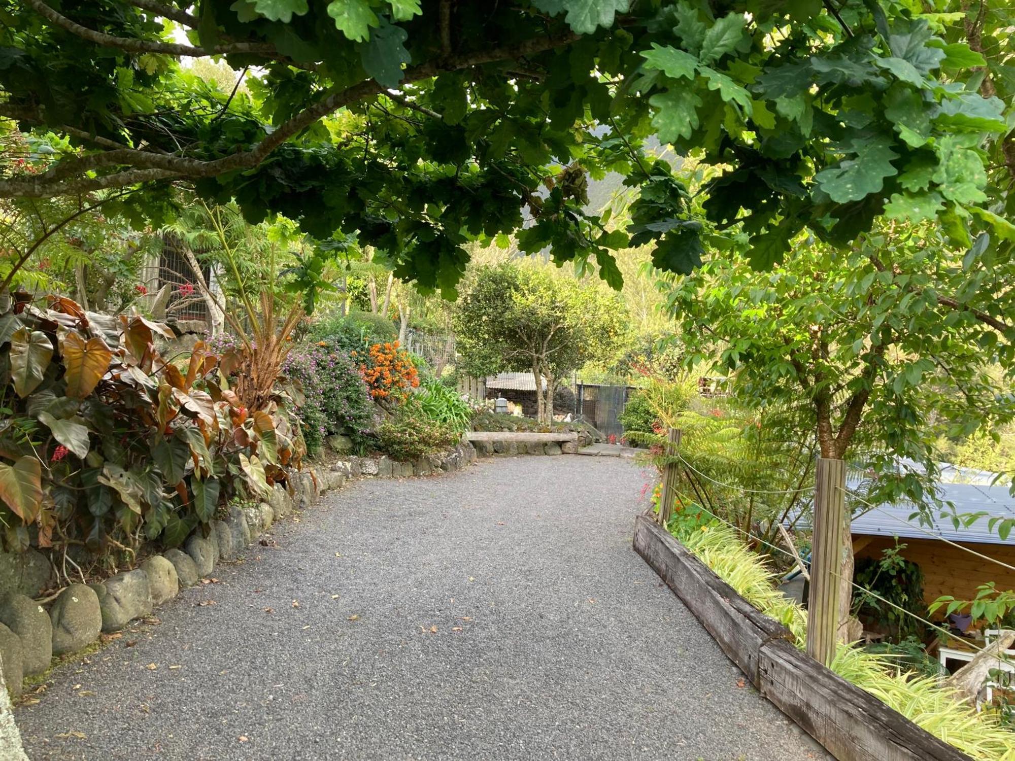 Les Begonias Villa Cilaos Bagian luar foto