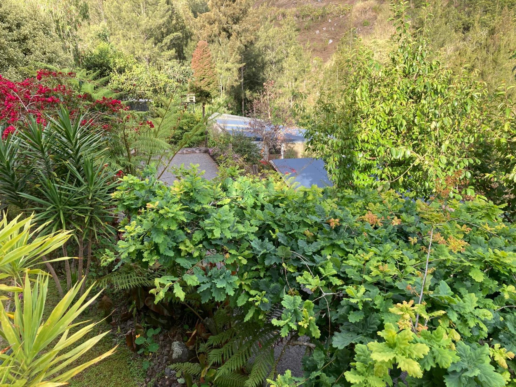 Les Begonias Villa Cilaos Bagian luar foto