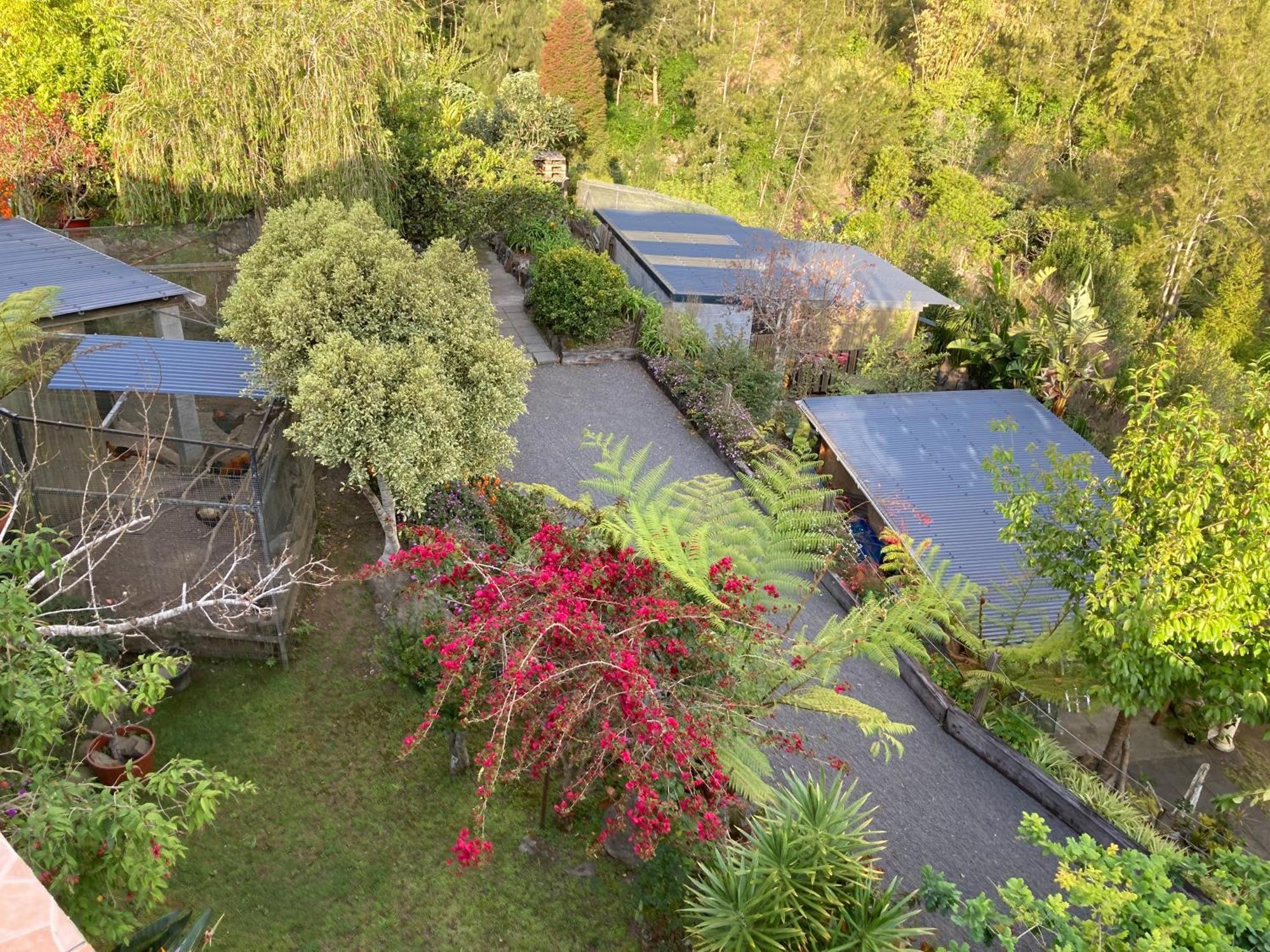 Les Begonias Villa Cilaos Bagian luar foto