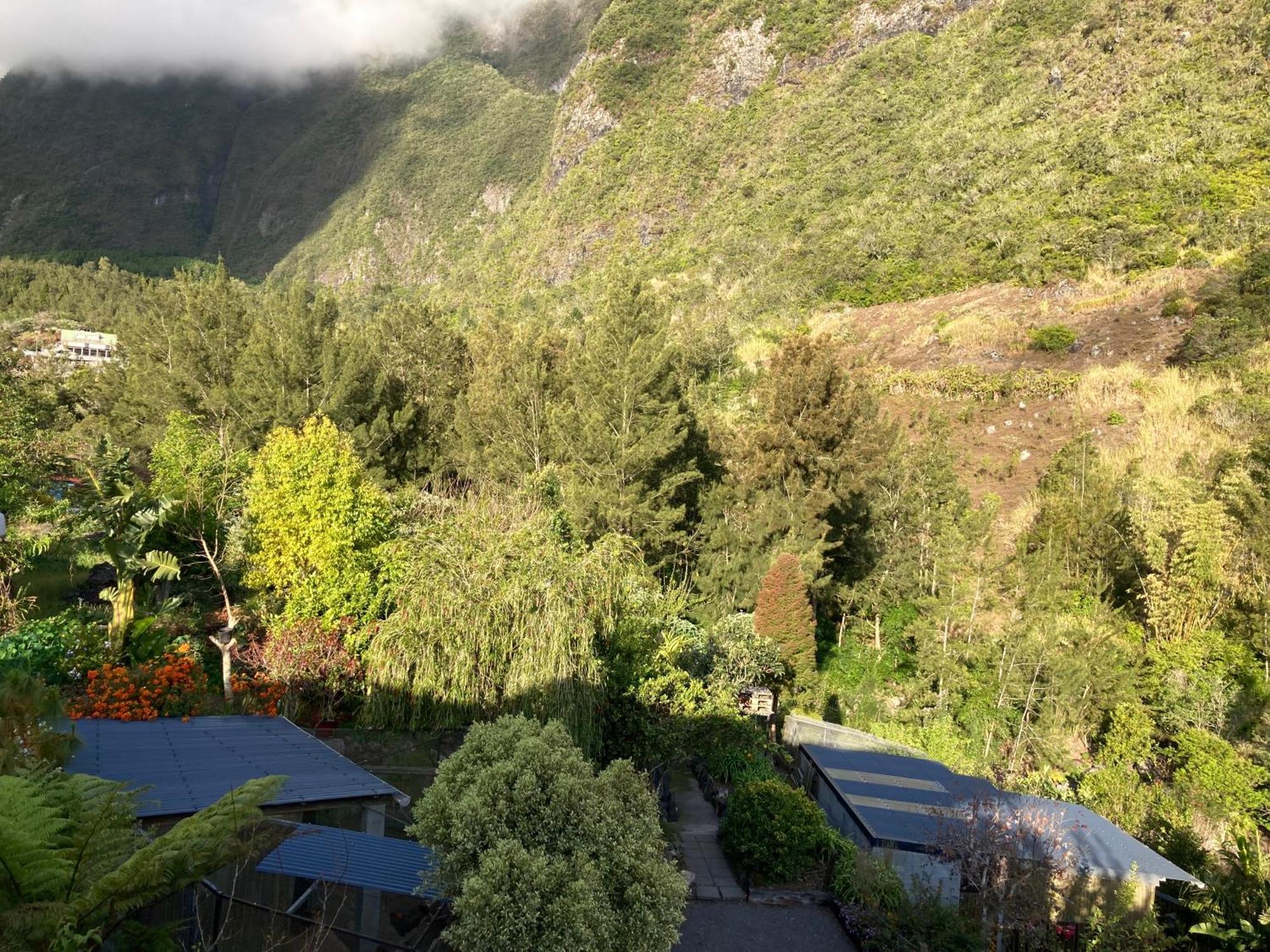Les Begonias Villa Cilaos Bagian luar foto