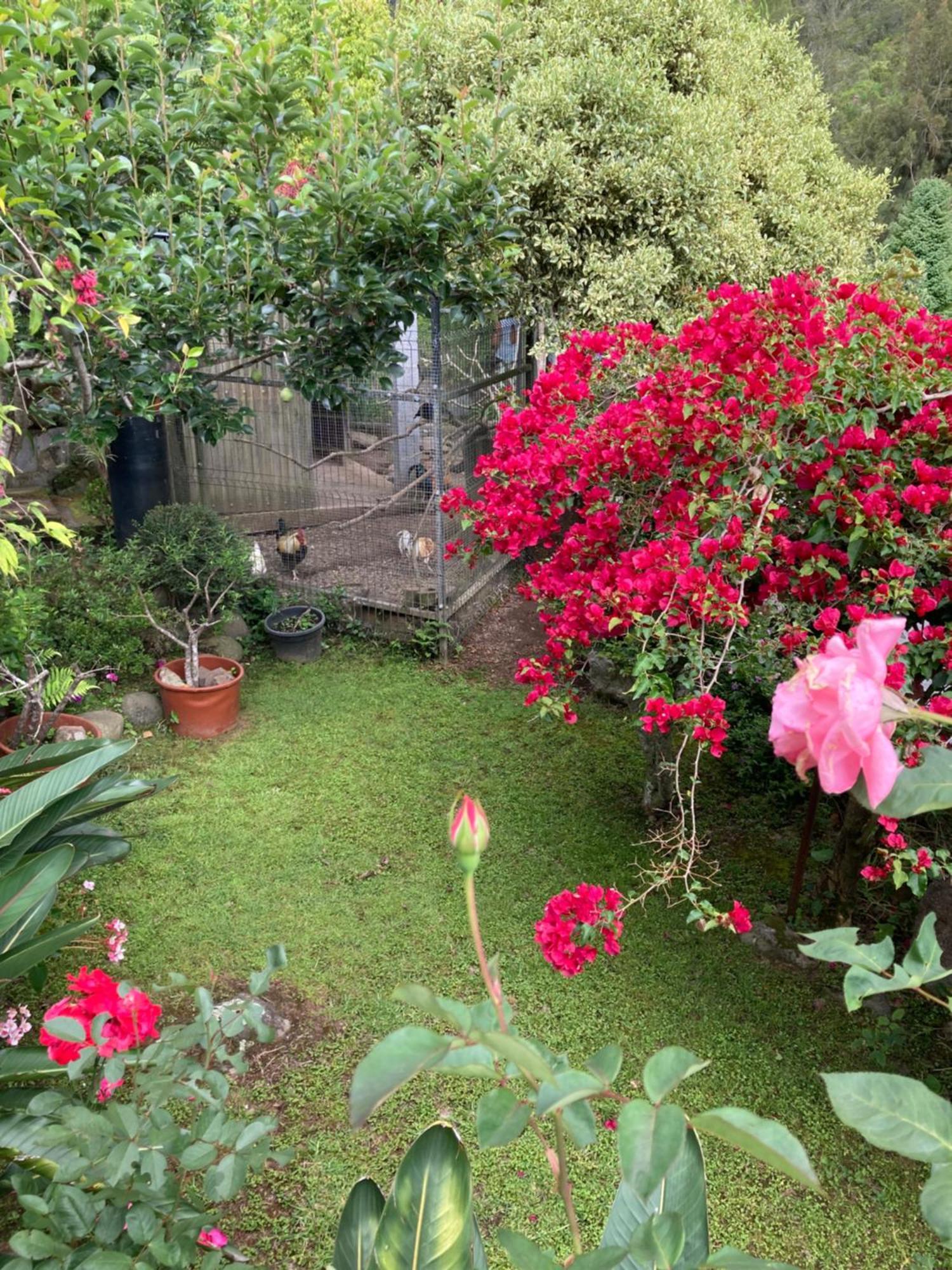 Les Begonias Villa Cilaos Bagian luar foto