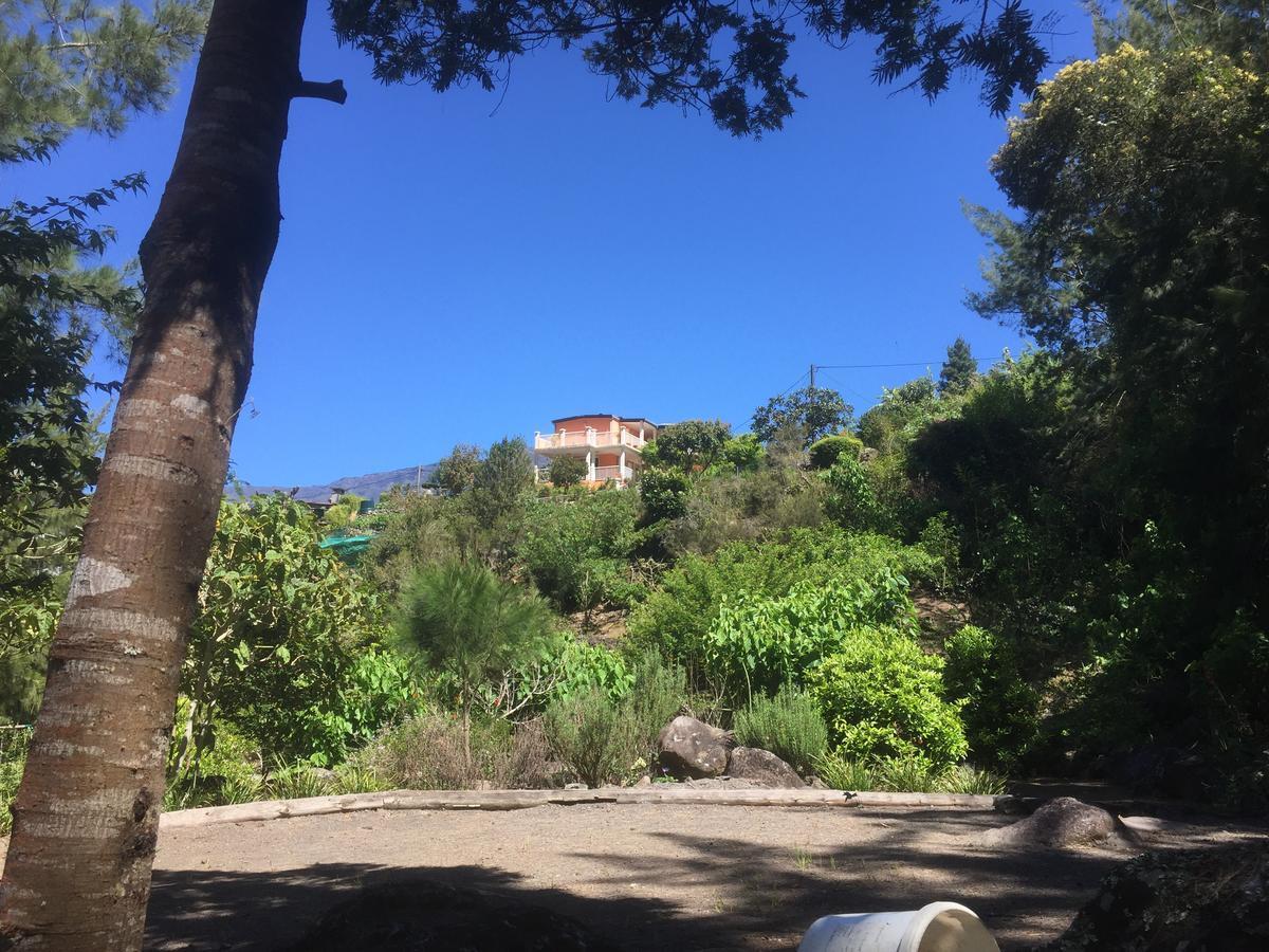 Les Begonias Villa Cilaos Bagian luar foto
